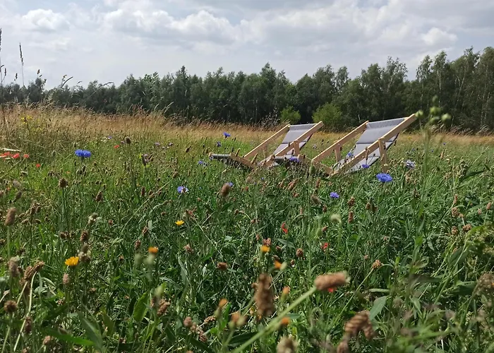 Zielone Wzgorze Komfortowy Klimatyzowany Domek Z Balia Z Aeromasazem