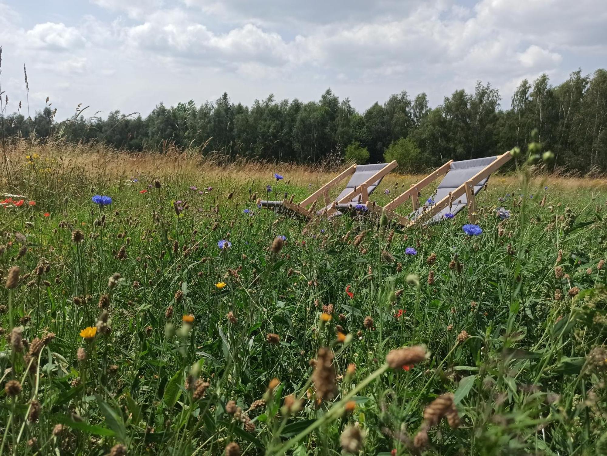 Zielone Wzgorze Komfortowy Klimatyzowany Z Balia Z Aeromasazem Lodge